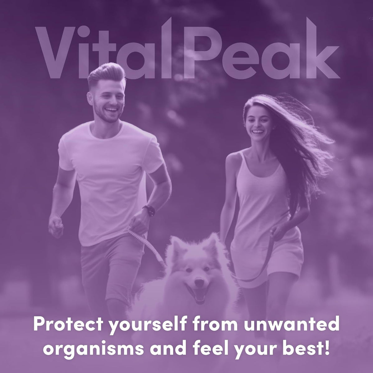 ParaCleanse Herbal Supplements for Humans for Digestive Comfort | Internal Balance Formula, Digestive Comfort, Black Walnut, Wormwood & Olive Leaf. 30 Days Supply. 60 Capsules