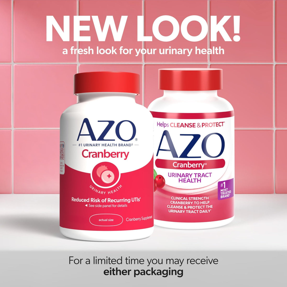 AZO Cranberry Supplement, Made with Concentrated Whole Fruit Cranberry Powder to Help Cleanse and Protect the Urinary Tract - PrimeBioHealth - canada supplements