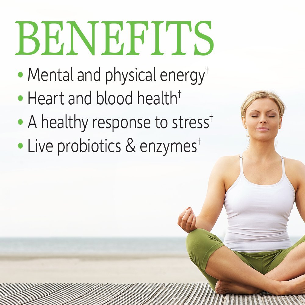 Garden of Life Vitamin B Complex, 120 Vegan Capsules, High Potency Vitamins for Energy & Metabolism with B6, Folate & B12 - PrimeBioHealth - canada supplements