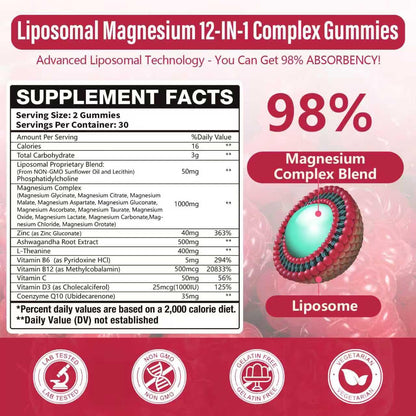 2 Packs Liposomal Magnesium Complex Gummies-as 12 Forms of Magnesium Citrate,Glycinate,Malate,Oxide,and More with Vitamin D3, B6,C, Ashwagandha & CoQ10 for Women and Men - PrimeBioHealth - canada supplements