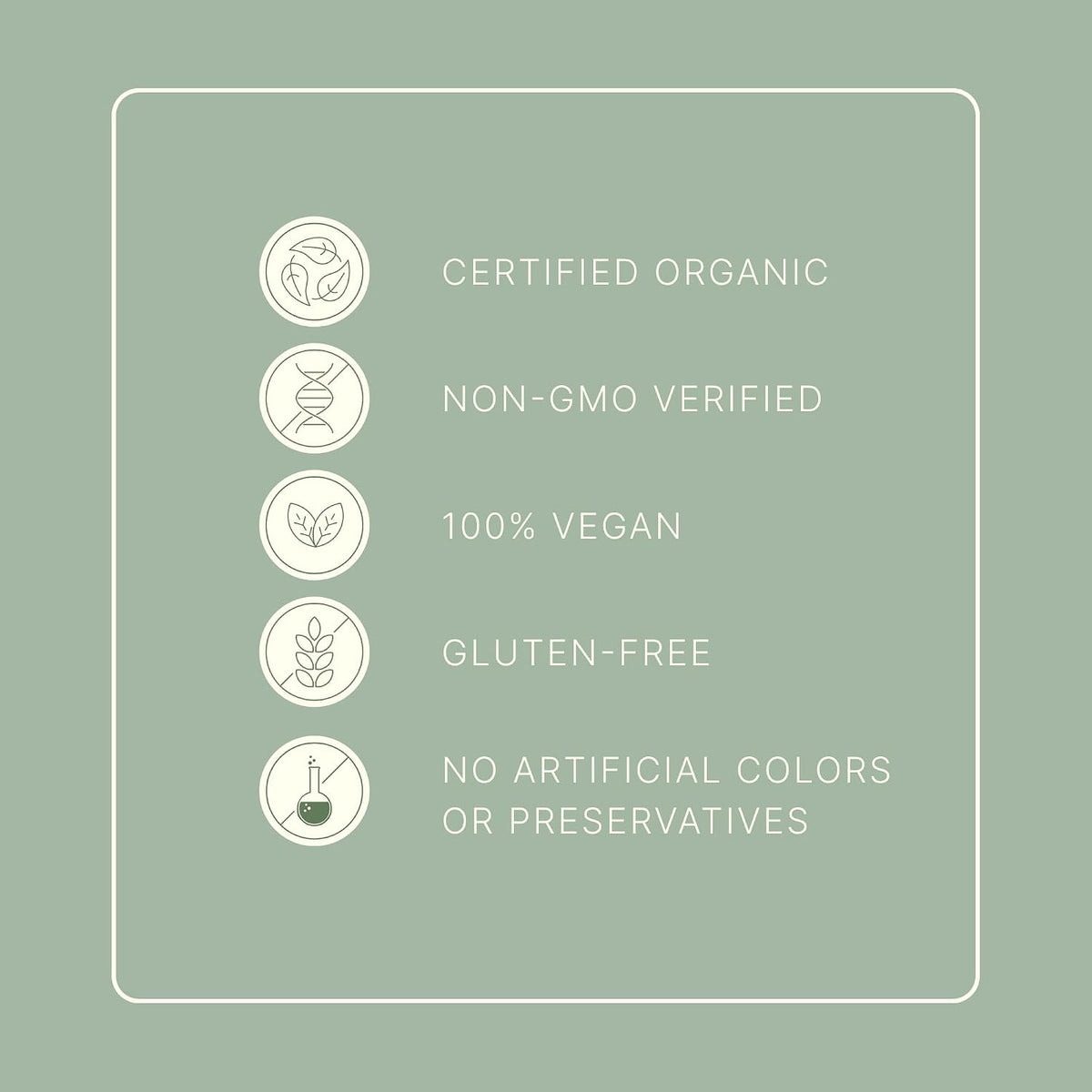 Dr. Murray's USDA Organic Plant Based Protein Powder | 20g Protein | 6g Fiber | Vegan & Keto | Gluten & Dairy Free | Low Carb | No Added Sugar | Matcha, 1 lb.