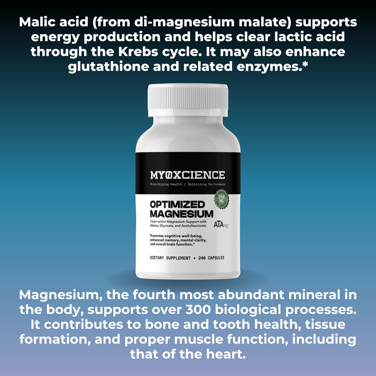 MYOXCIENCE Optimized Magnesium Glycinate + Magnesium Taurate (as ATAmag®) for High Brain Bioavailability to Support Stress Relief and Sleep | 30 Servings