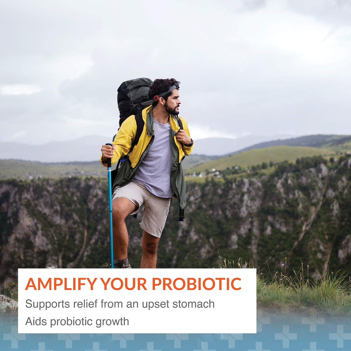 Arthur Andrew Medical Floraphage, Bacteriophage Prebiotic, 90 Capsules | Advanced Bacteriophage Prebiotic. Probiotic Multiplier, & Microbiome Enhancement. Digestive, Immune, & Urinary Tract Support