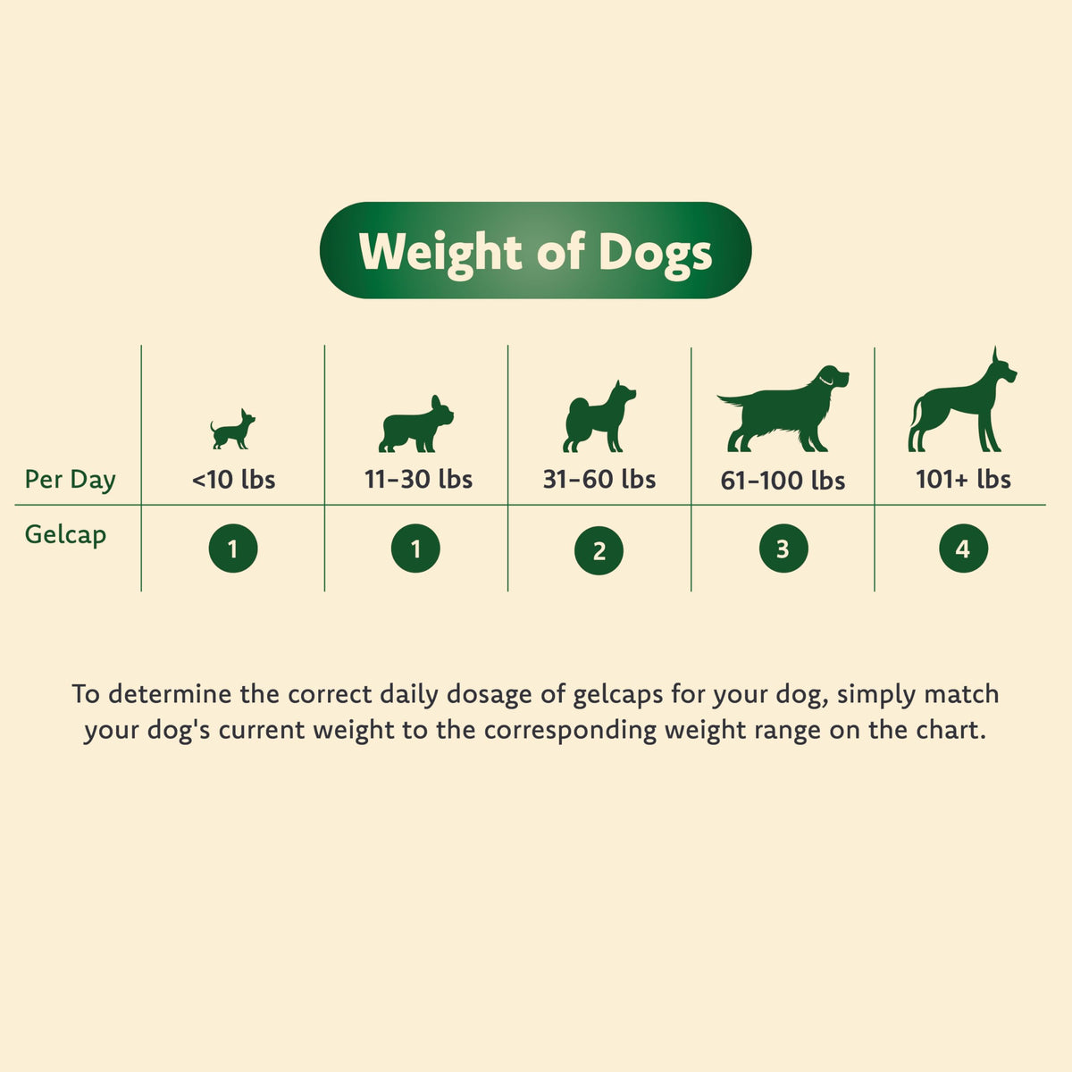 Vision Supplement for Medium to Large Dogs, 11+ lb, 90 Count | Veterinarian-Formulated Supplement Specifically Supports Eye Health; Unflavored & Easy to Give