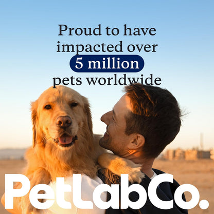 PetLab Co. ProBright Advanced Dental Powder, Small Dogs, 30 Scoops | Three-Time Award-Winning* formula shown to support tartar reduction and fresh breath in 28 days, One scoop daily