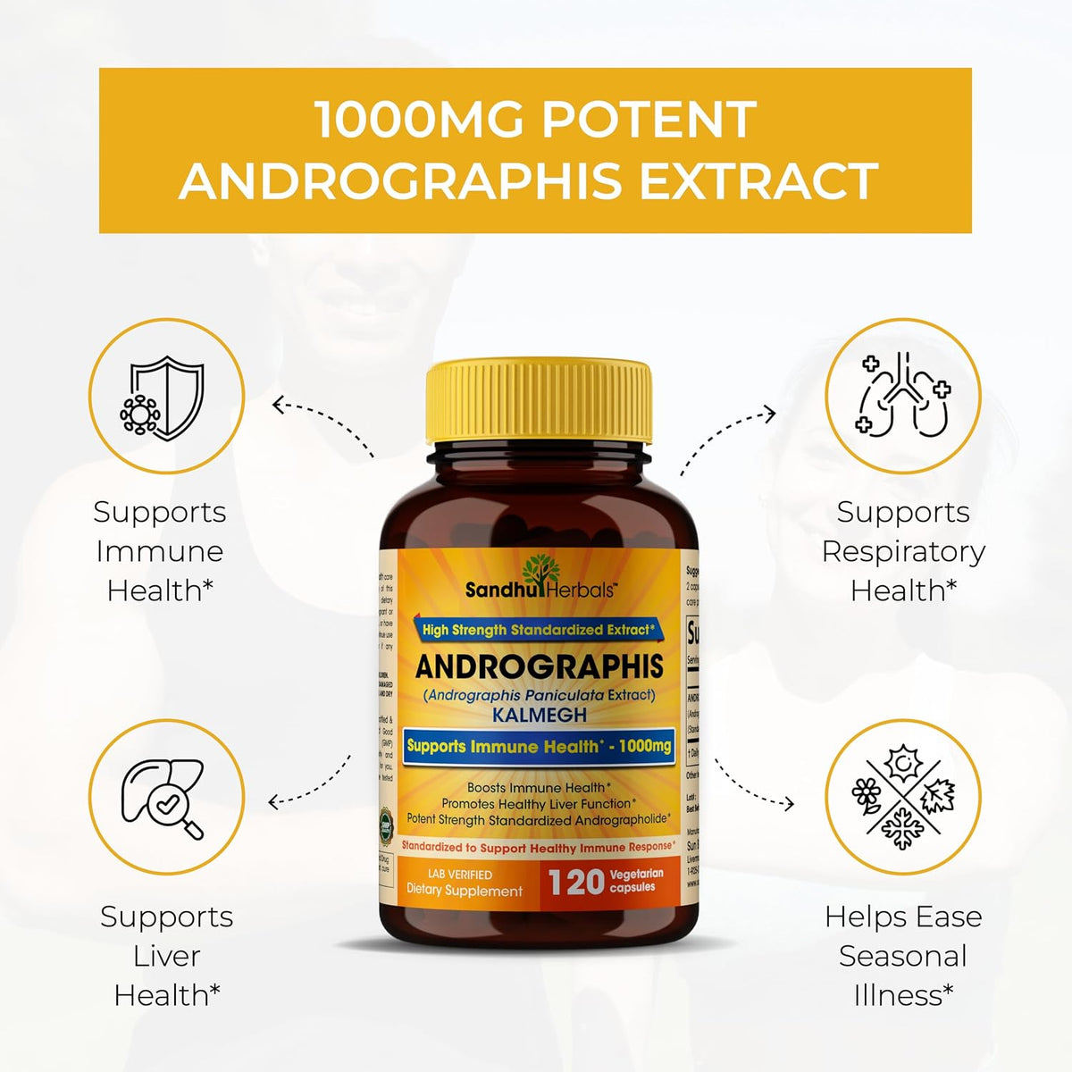 Andrographis Paniculata Kalmegh for Immune and Liver Health Support| 120 Vegetarian Capsules, 2 Months Supply| Ayurvedic Herbal Vegetarian Supplement Complex