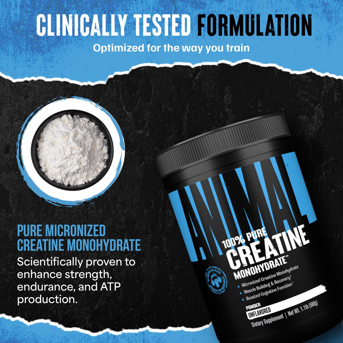 Animal Creatine Monohydrate Powder - Micronized Creatine for Women and Men, Supports Muscle Growth, Strength, Endurance, Recovery and ATP Production, - PrimeBioHealth - canada supplements