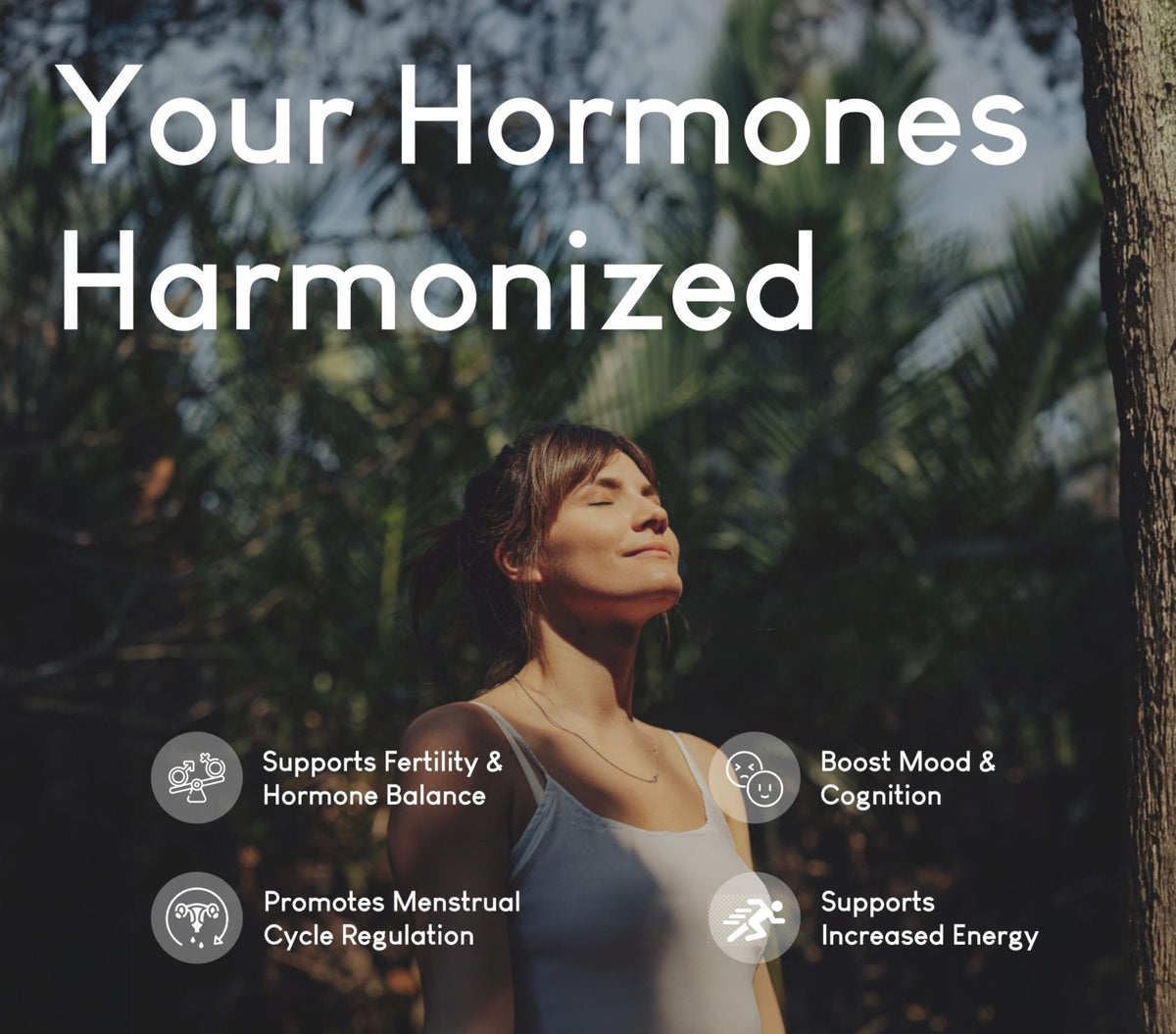 Beef Organ Supplement for Women | Supports Hormone Balance | Ovary, Uterus & Reproductive Nourishment + Liver, Kidney & Heart for Cycle Harmony - PrimeBioHealth - canada supplements