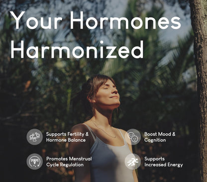 Beef Organ Supplement for Women | Supports Hormone Balance | Ovary, Uterus & Reproductive Nourishment + Liver, Kidney & Heart for Cycle Harmony - PrimeBioHealth - canada supplements