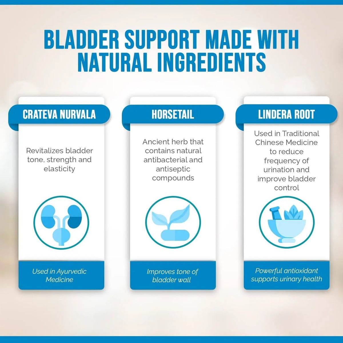 Better Bladder Control Supplement for Women & Men – Bladder Support Supplement to Help Reduce Urinary Leaks, Frequency & Urgency - 60 Count (1 Bottle) - PrimeBioHealth - canada supplements