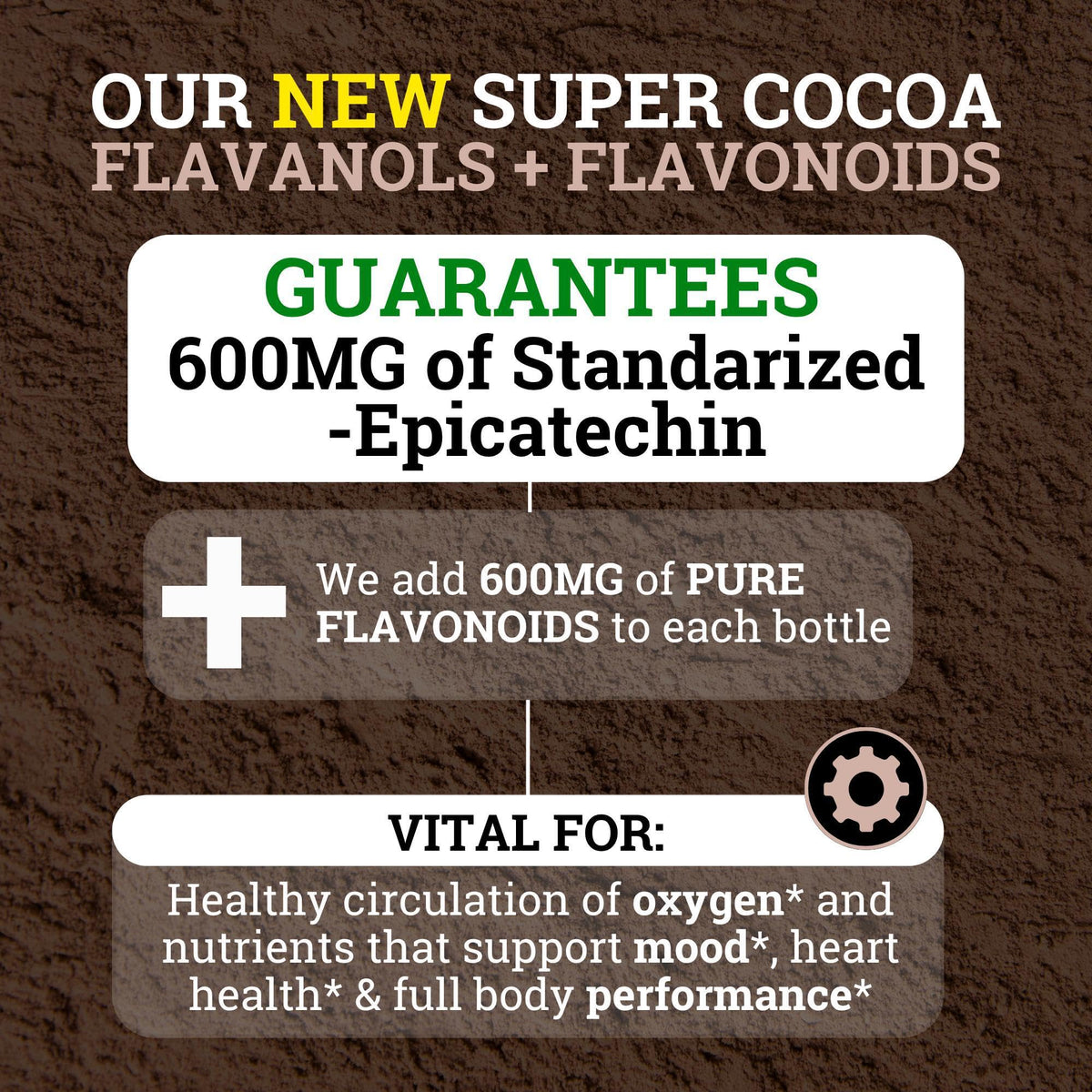 Black Forest High Flavanol Cocoa Powder (1200mg Flavanols & Flavonoids Supplements)10X More Flavanols (Epicatechin) Than Cocoa & 600mg of Epicatechin Supplement - PrimeBioHealth - canada supplements