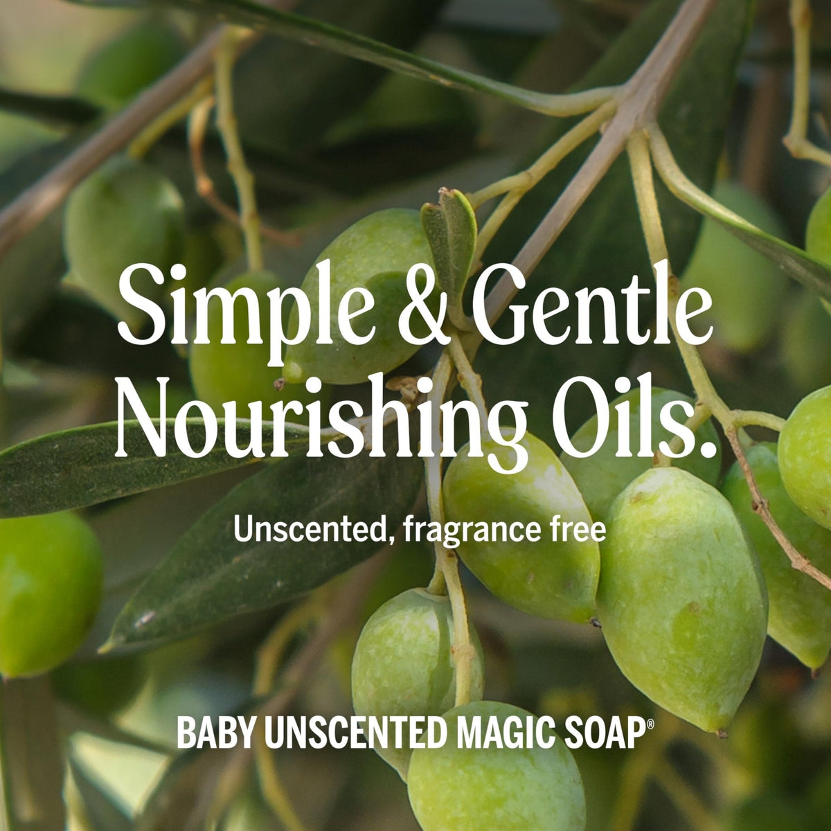 Dr. Bronner's Pure-Castile Magic Liquid Soap (Baby Unscented, 8 Ounce)- Made with Regenerative Organic Certified Oils, For Face - PrimeBioHealth - canada supplements