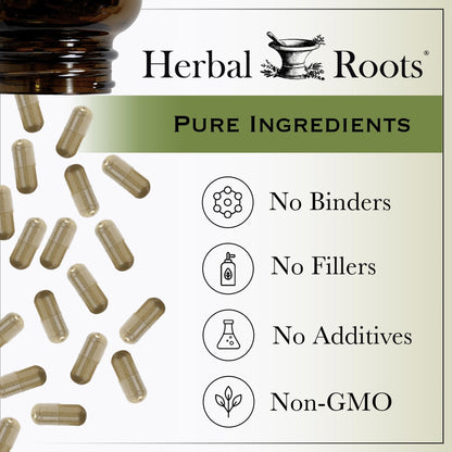 Herbal Roots Ginger Supplement | Organic Ginger Root Capsules | 1,200 mg of Pure Ginger Powder per Serving | 60 Vegan Capsules - PrimeBioHealth - canada supplements