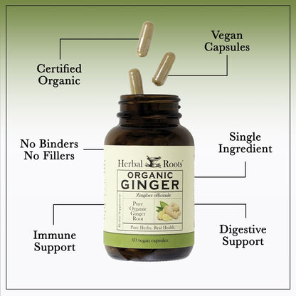 Herbal Roots Ginger Supplement | Organic Ginger Root Capsules | 1,200 mg of Pure Ginger Powder per Serving | 60 Vegan Capsules - PrimeBioHealth - canada supplements