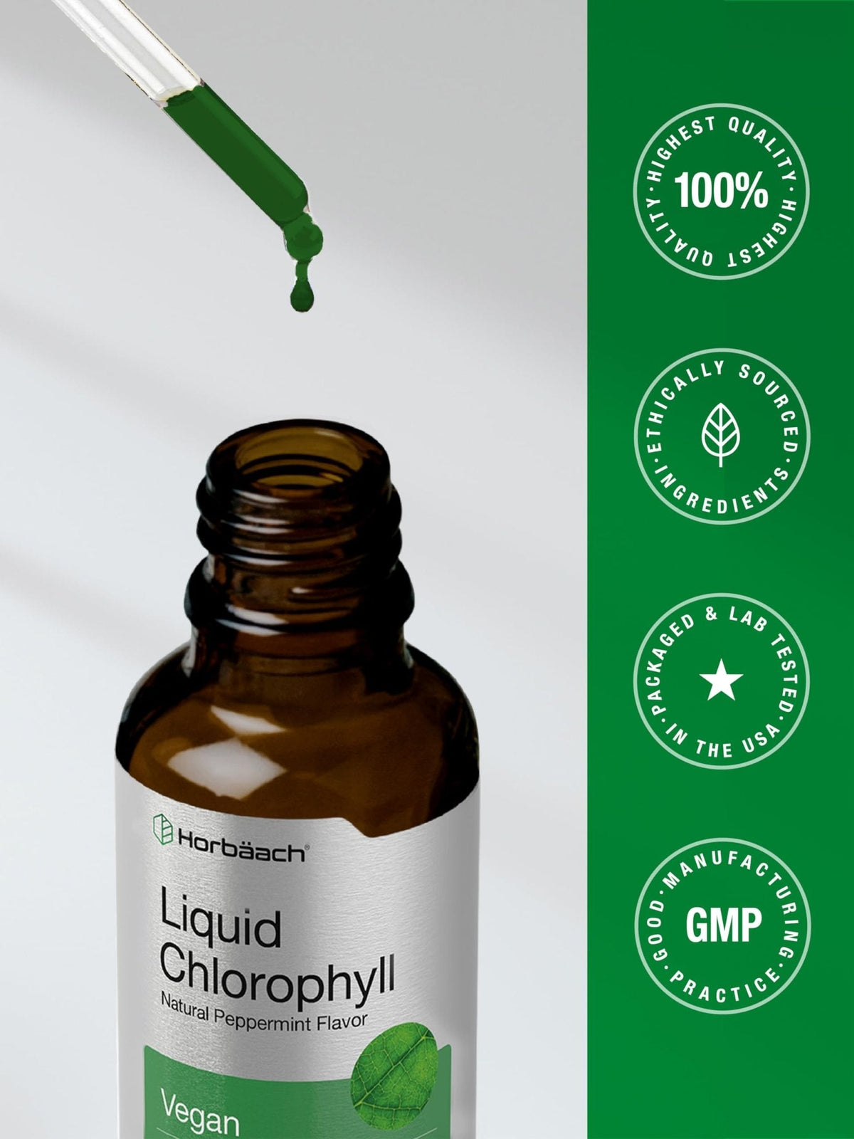 Horbäach Liquid Chlorophyll Drops | 2 oz | Vegan, Non-GMO, and Gluten Free Formula | Natural Peppermint Flavor - PrimeBioHealth - canada supplements