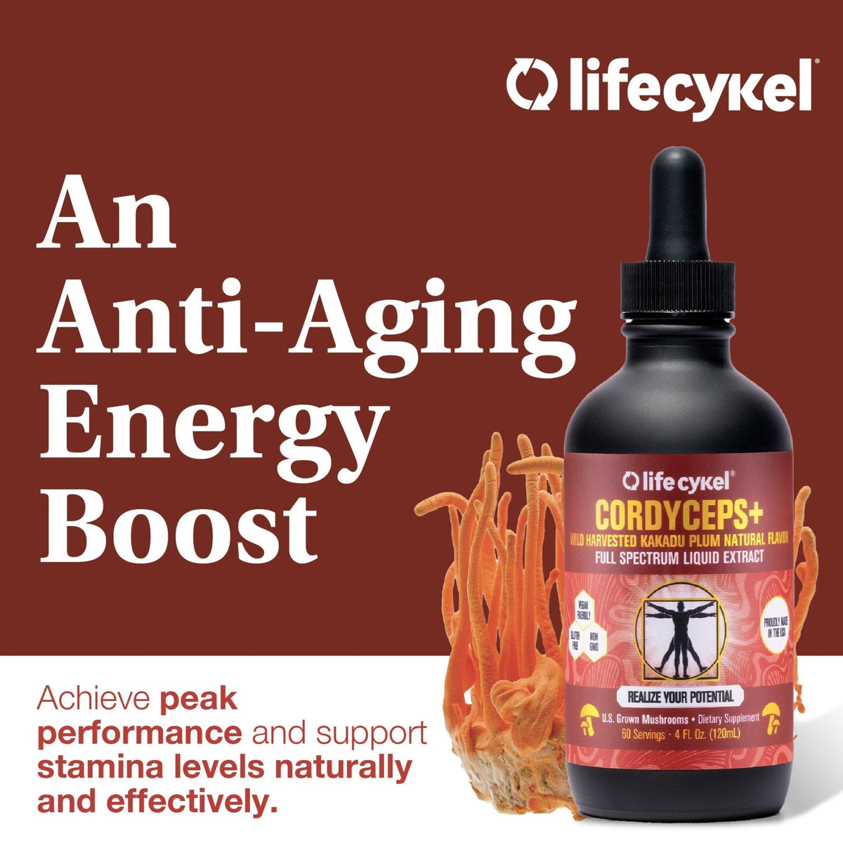 Life Cykel Cordyceps Mushroom Extract with Kakadu Plum - Energy, Stamina & Vitality Support, Natural Aging Supplement - Non-GMO and Vegan Tincture - 4Fl Oz - PrimeBioHealth - canada supplements