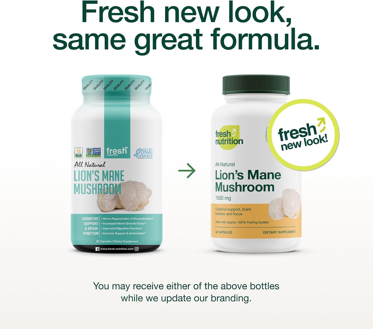 Lions Mane Mushroom Capsules Strongest 1500mg at Special Launch Price - Organic Powder Vegan Friendly Supplement - Brain, Nerve & Immune System Function Benefits - Powerful Superfood - Non GMO - PrimeBioHealth - canada supplements