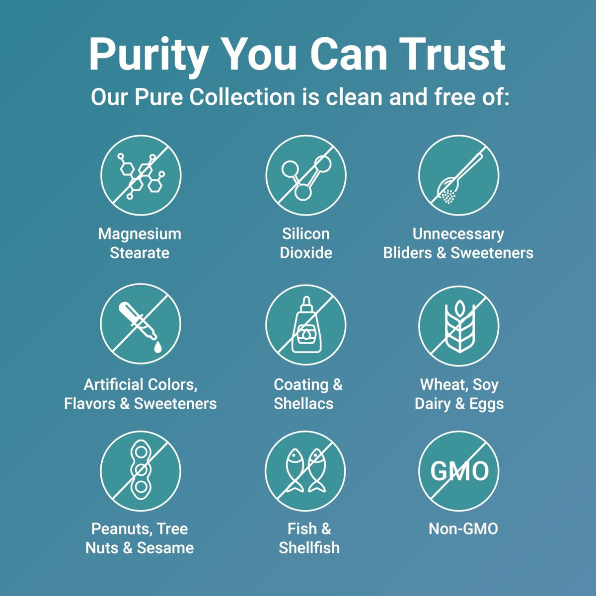 Micro Ingredients Pure Methylated B Complex, 240 Capsules | 11-in-1 Formula with Methylfolate, B12, Thiamin, Inositol, Choline, & Fat Soluble Vitamin C | Clean Ingredients Without Fillers | Non-GMO - PrimeBioHealth - canada supplements