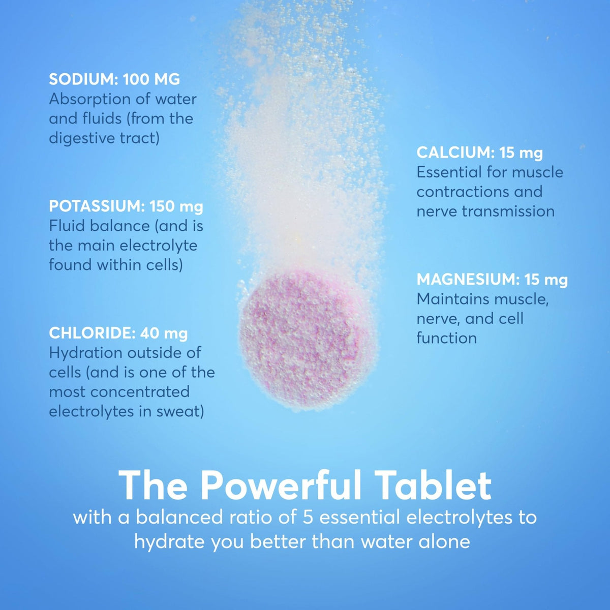 Nuun Immunity Electrolyte Tablets with Vitamin D, C, E, & A, Ginger, Elderberry, Magnesium & 4 Other Essential Electrolytes, Vegan, Blueberry Tangerine & Orange Citrus, 4 Pack (40 Servings Total) - PrimeBioHealth - canada supplements