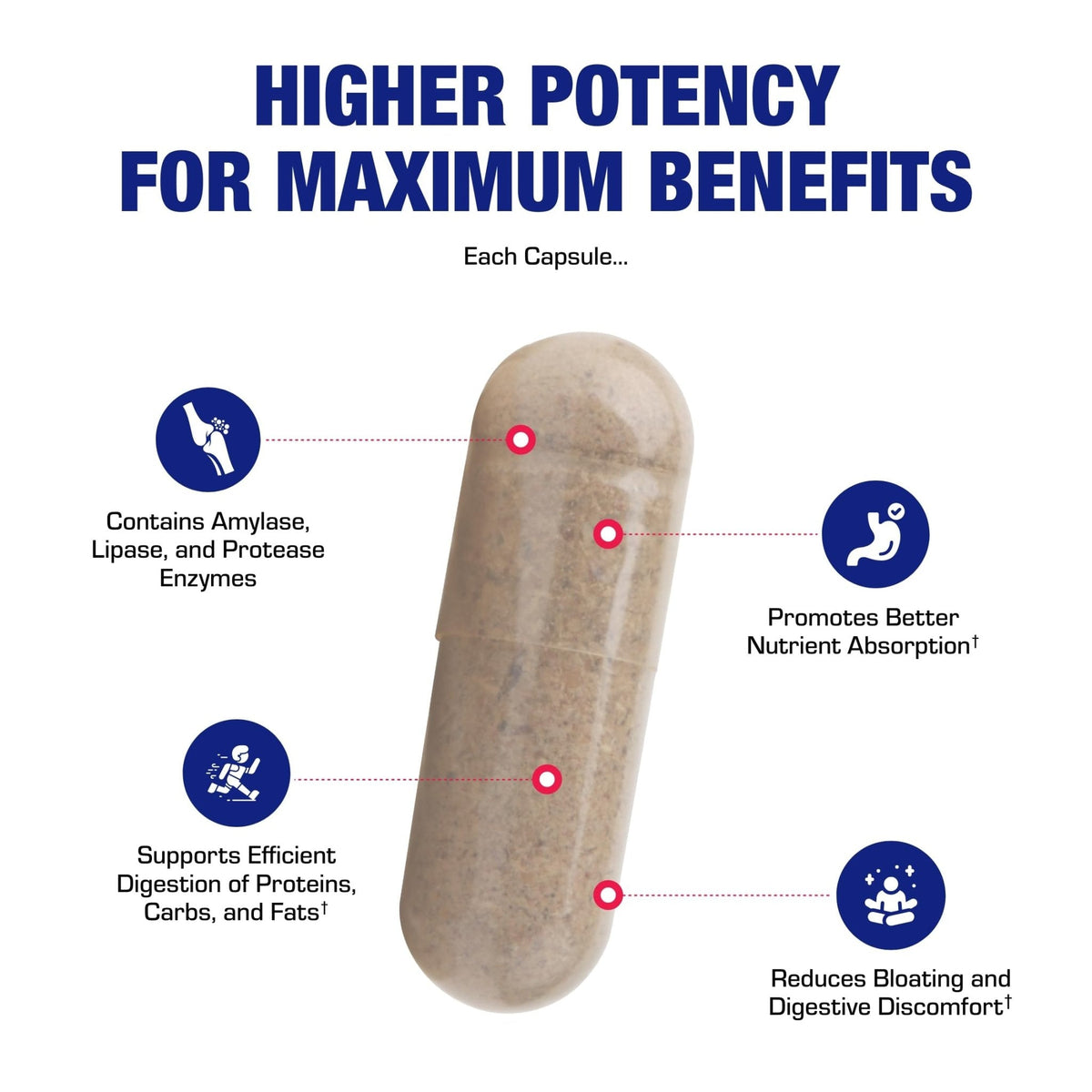 Plant Based Multi Digestive Enzymes Supplement - Clinically Formulated Digestion Supplement with Soothing Herbs and Enzymes for Women and Men - PrimeBioHealth - canada supplements