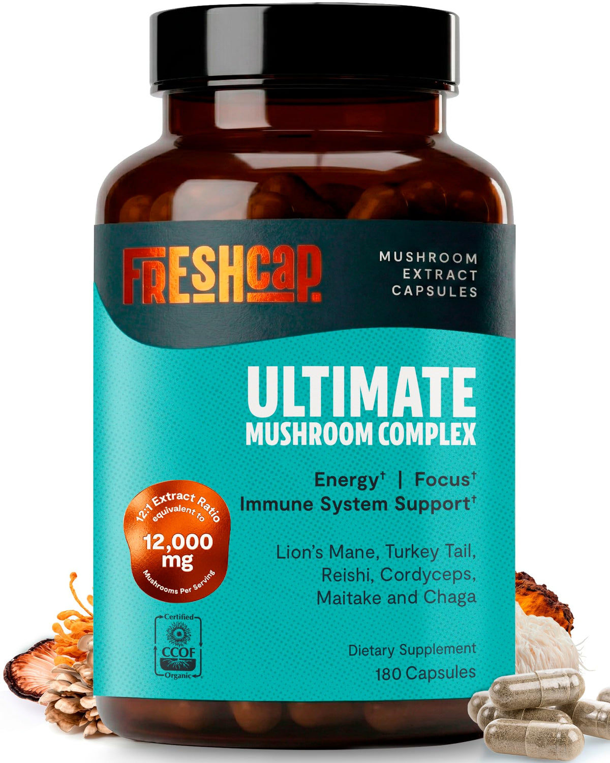 Premium Organic Mushroom Coffee – 12:1 Fruiting Body Extract – 29% Beta-Glucans – Smooth Tasting, 3rd-Party Tested for Clean Energy, No Jitters, Focus, Immune Support (15 Servings) - PrimeBioHealth - canada supplements