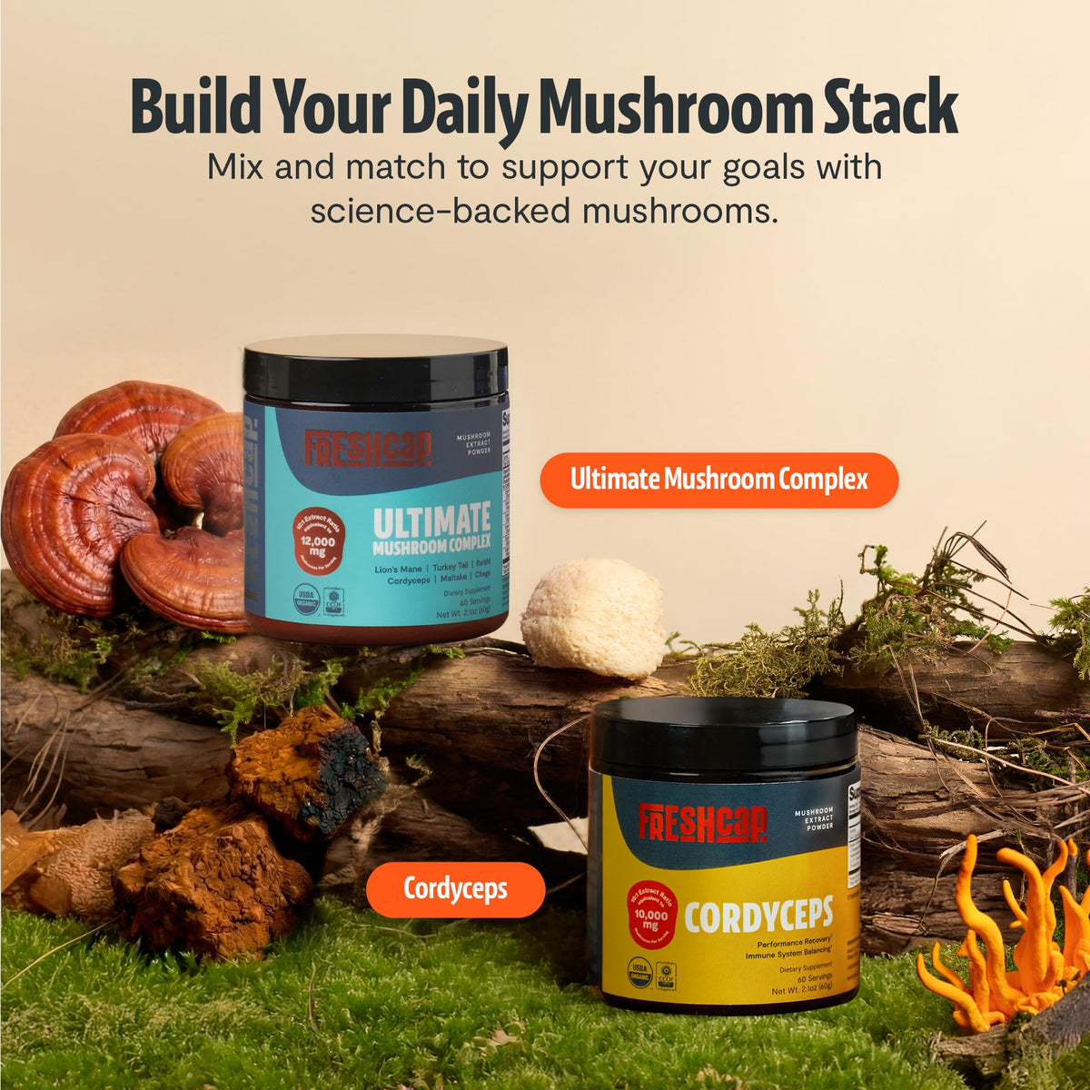 Premium Organic Mushroom Coffee – 12:1 Fruiting Body Extract – 29% Beta-Glucans – Smooth Tasting, 3rd-Party Tested for Clean Energy, No Jitters, Focus, Immune Support (15 Servings) - PrimeBioHealth - canada supplements