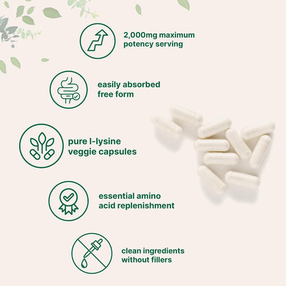 Pure L-Lysine 2,000mg, 300 Veggie Capsules | Maximum Potency, Easily Absorbed, Free Form | Essential Amino Acid for Collagen, Lip, & Immune Support | Clean Ingredients Without Fillers - PrimeBioHealth - canada supplements