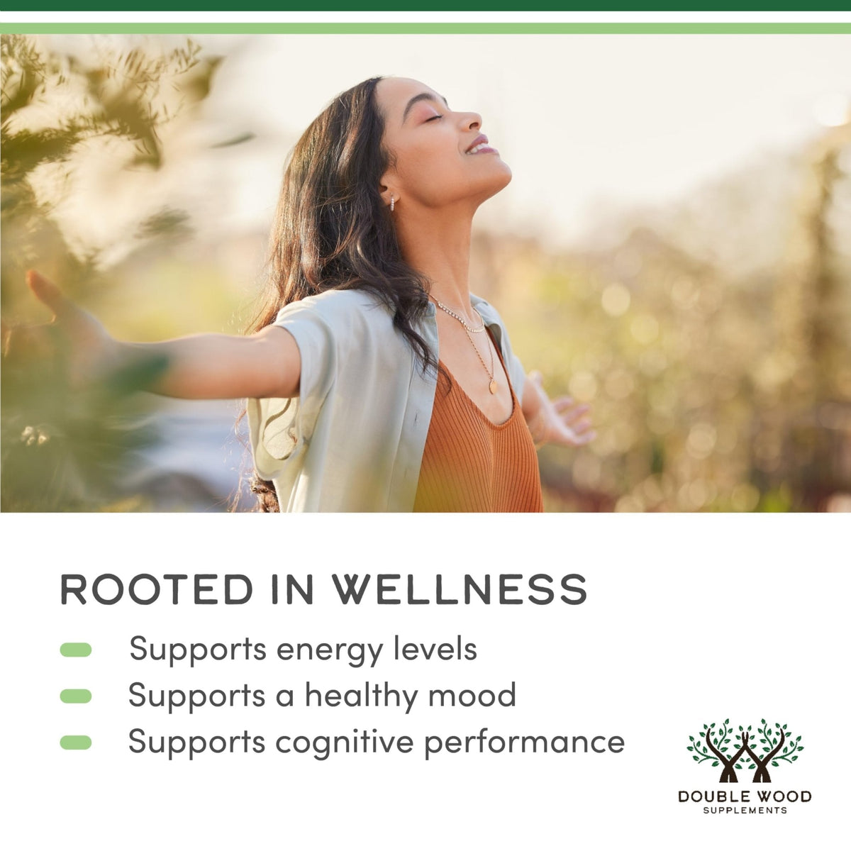 Rhodiola Rosea Supplement 500mg, 120 Vegan Capsules (Third Party Test, Gluten Free, 3% Salidrosides, 1% Rosavins Extract) for Performance, - PrimeBioHealth - canada supplements