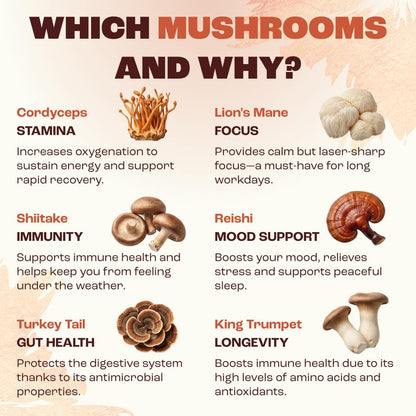 RYZE SUPERFOODS Mushroom Medium Roast Coffee USDA Organic with 6 Adaptogenic Mushrooms, USA Grown Instant Coffee for Better Energy - PrimeBioHealth - canada supplements