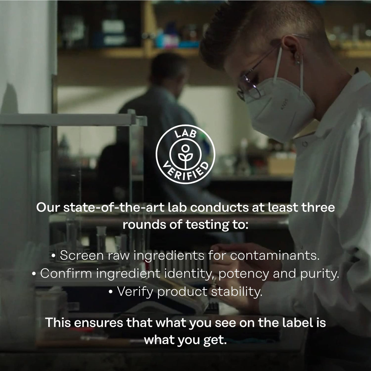 SOLARAY Quercetin Bromelain & Vitamin C, Immune System, Sinus, Respiratory & Antioxidant Activity Support, Vegan, 500mg of Quercetin & 1,235mg of VIT C, 60 Day Guarantee, 75 Servings, 150 VegCaps - PrimeBioHealth - canada supplements