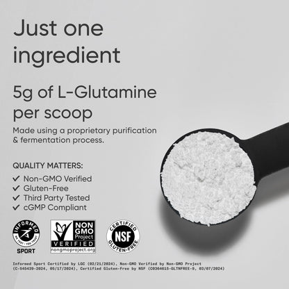Sports Research L-Glutamine - Workout Recovery, Immune Health & Gut Health Support - 5 G Per Serving - 10.58 Oz - PrimeBioHealth - canada supplements