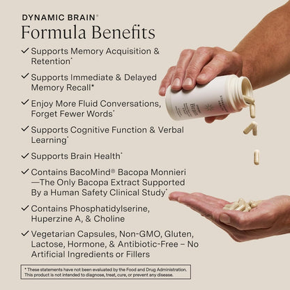 Stonehenge Health Dynamic Brain + Dynamic Turmeric Bundle Supports: Memory Acquisition, Retention, & Recall - PrimeBioHealth - canada supplements
