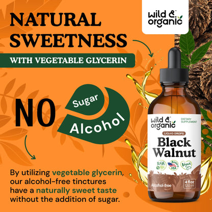 Wild & Organic Black Walnut Hull Tincture - Cleanse & Gut Support - Black Walnut Extract Supplement - Fast Absorption Liquid Drops - Add to Tea & Mix with Powder - Without Alcohol & Sugar - 4 fl oz - PrimeBioHealth - canada supplements