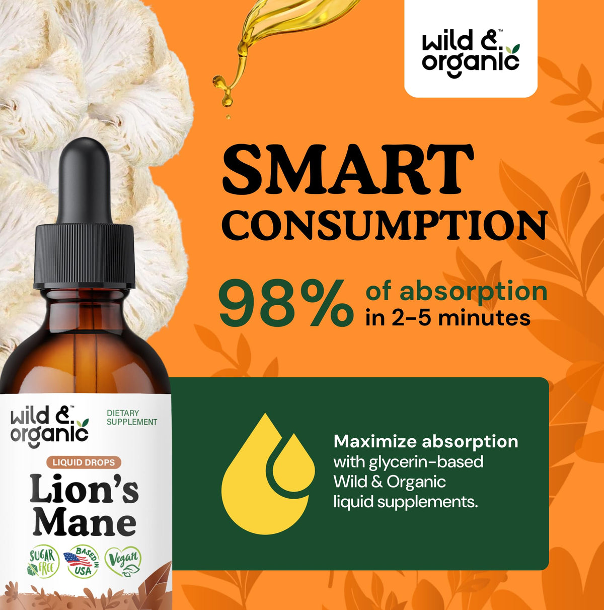 Wild & Organic Lions Mane Liquid Drops - Brain & Focus Support - Lion's Mane Mushroom Supplement - Hericium Erinaceus Mushroom Drops - Mix with Powder - Sugar & Alcohol-Free Extract Tincture - 4 oz - PrimeBioHealth - canada supplements